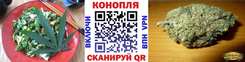 Cannafood марихуана закладка blacksprut рабочий сайт Терек