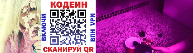 Кодеин напиток Lean (лин)  Терек 