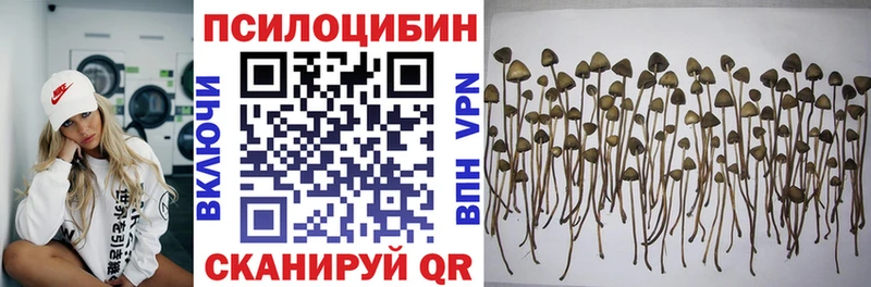 Галлюциногенные грибы Cubensis  Терек 