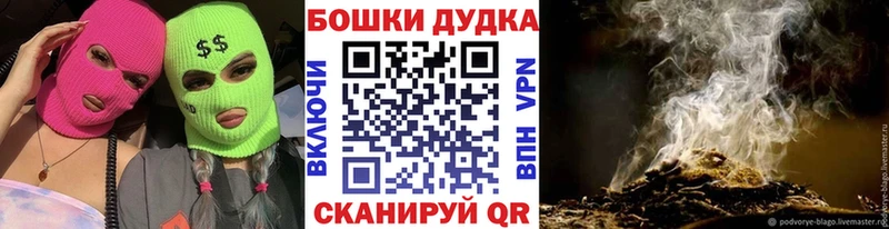 Каннабис OG Kush  Терек 