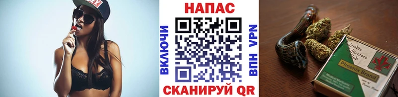 Марихуана Bruce Banner Терек